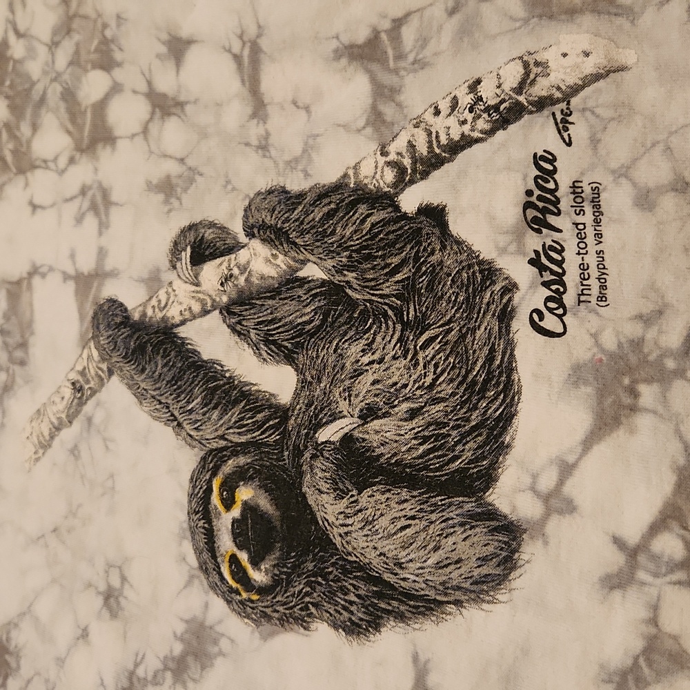 Sloth tee - Picture 2 of 3